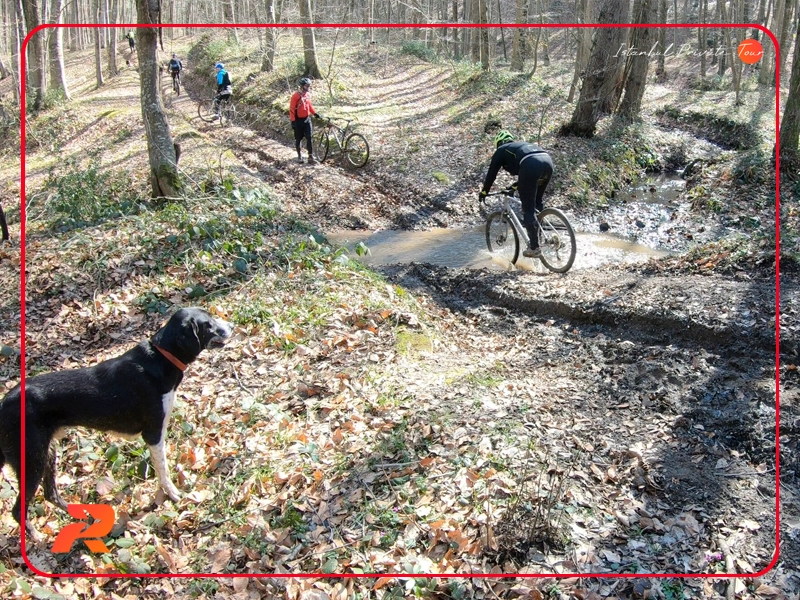 Activities Available in Belgrad Forest